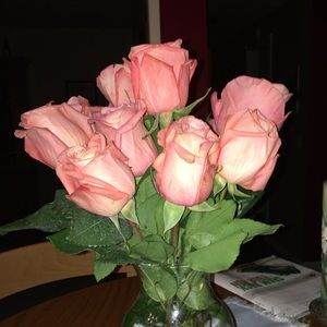 Meet your Posher, Tesha